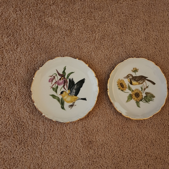 Schumann Arzberg Bavaria Dining Decorative Vintage Plates Designed